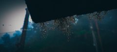 20220820_114637-scaled