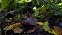 20230128_103150-scaled