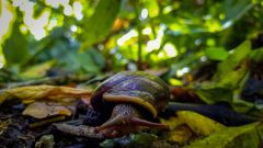 20230128_103157-scaled